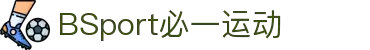 必一运动(B-Sport)用品有限公司官网